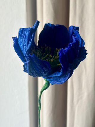 Blue, Our favourite colour. And yours? What is your favorite colour of a paper flower? #pompomtime #vlcimak...
