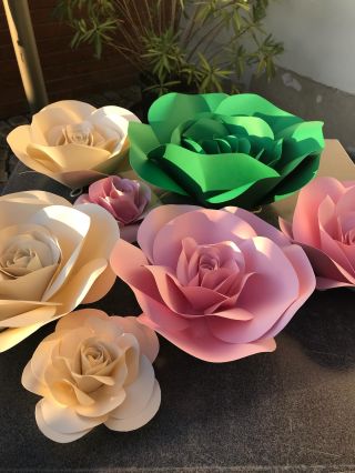 Paper Flowers, different colours, cardboard :) #paperflowers #pompomtime #pompomtimeflowers #pompomtimedesign